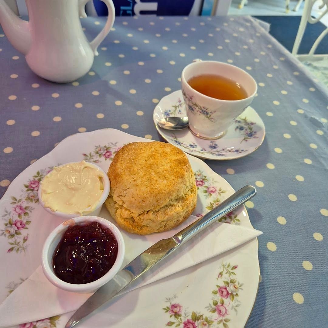 A cream tea on floral vintage china: scone, clotted cream, jam and a cup of tea on a blue polka-dot tablecloth